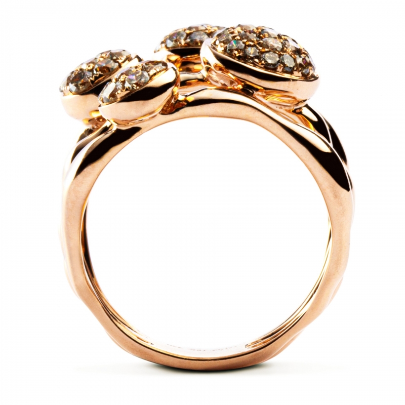 Anello Bolle