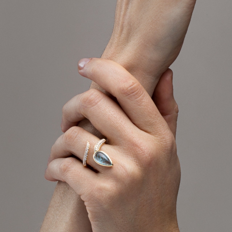 Aspis Ring
