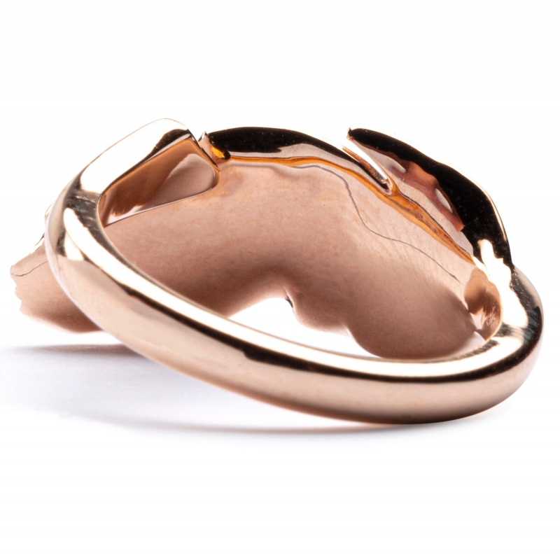 Plume Ring